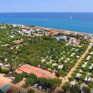 https://albatross-mobile-homes-on-camping-el-pla-de-mar.catalonia-hotels.com